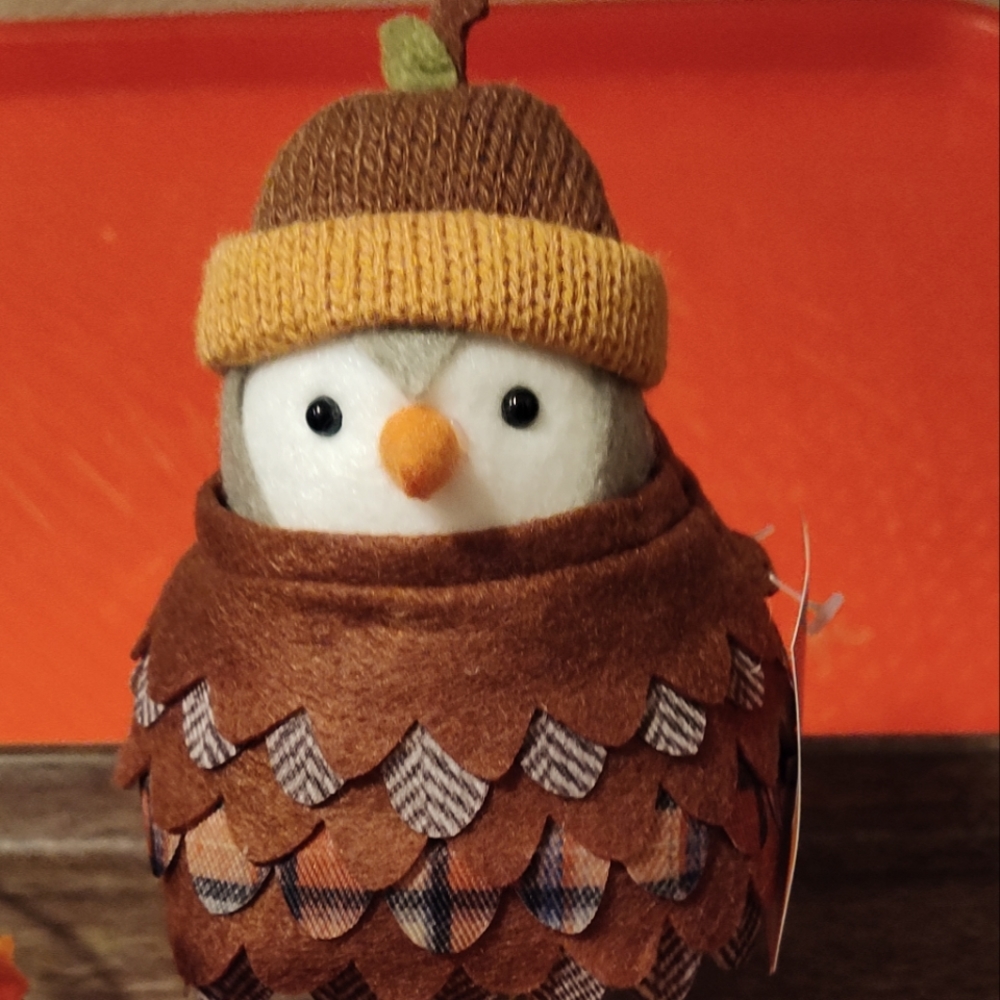2022 Fall bird dressed as pine cone
